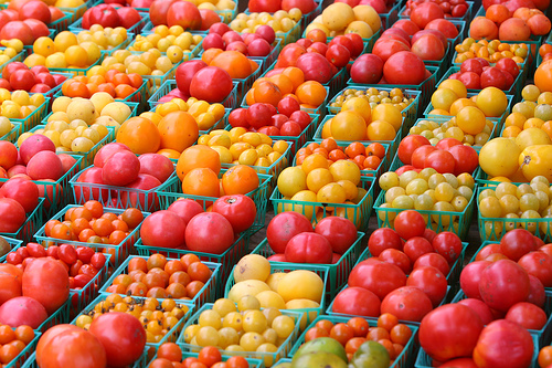 view of tomatoes